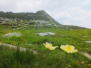 53 Salendo verso la bocchetta-passo in cresta Azzaredo...